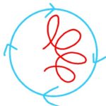 【車磨き】DIYでも扱いやすいポリッシャー!ダブルアクションの特徴